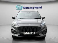 Used Ford Kuga ST-Line X 224 HP (164 kW) 2022 SUV