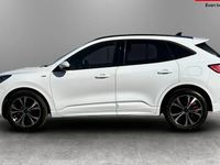 Second-hand Ford Kuga ST-Line X 190 CP (139 kW) 2023 SUV