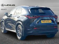 Used Lexus NX450h+ 309 HP (227 kW) 2024 Black SUV