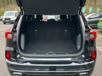 Begagnad Ford Kuga ST-Line 150 HK (110 kW) 2026 SUV