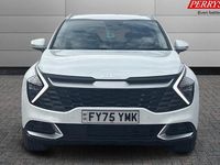 Used Kia Sportage 209 HP (153 kW) 2024 SUV