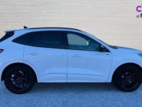 Used Ford Kuga 150 HP (110 kW) 2023 White SUV