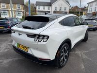 Used Ford Mustang Premium 294 HP (216 kW) 2024 White Hatchback