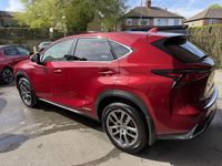 Used Lexus NX300h 2019 Red SUV