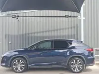 Used Lexus RX450h 313 HP (230 kW) 2020 Blue SUV