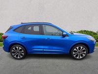 Used Ford Kuga ST-Line X 2025 Blue SUV