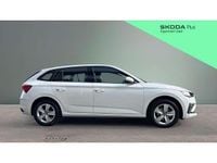 Used Skoda Scala SE 116 HP (85 kW) 2025 White Hatchback