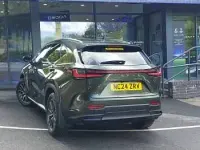 Used Lexus NX350h 242 HP (177 kW) 2024 Green SUV