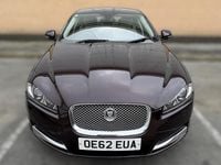 Used Jaguar XF Premium Luxury 240 HP (176 kW) 2012 Red Sedan
