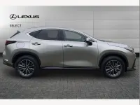 Used Lexus NX450h+ 292 HP (214 kW) 2026 Silver SUV