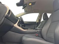 Used Lexus NX300h Sport Line 197 HP (144 kW) 2019 Sonic white SUV