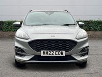 Used Ford Kuga ST-Line X 150 HP (110 kW) 2023 SUV