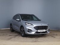 Used Ford Kuga ST-Line X 2023 Silver SUV