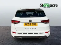 New Cupra Ateca 190 HP (139 kW) 2026 White SUV
