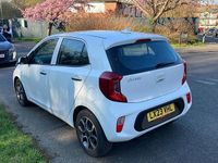 Used Kia Picanto 66 HP (48 kW) 2023 White Hatchback