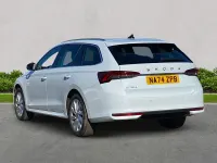 Used Skoda Octavia First Edition 150 HP (110 kW) 2024 White Estate