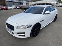 Used Jaguar XF R-Sport 200 HP (147 kW) 2018 White Sedan