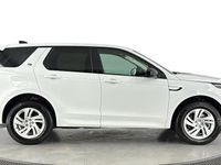 Used Land Rover Discovery Sport S 204 HP (150 kW) 2024 White SUV