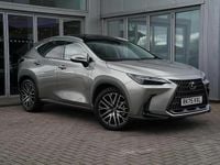 Used Lexus NX350h Sport Line 239 HP (175 kW) 2025 Silver SUV
