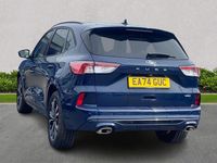 Used Ford Kuga ST-Line X 2024 Blue SUV