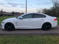 Used Jaguar XF R-Sport 2014 White Sedan
