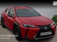 Used Lexus UX 250h 184 HP (135 kW) 2024 SUV