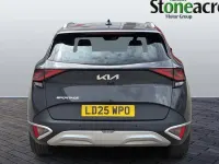 Used Kia Sportage 159 HP (116 kW) 2024 SUV