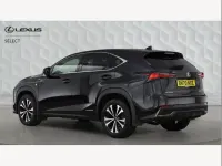 Used Lexus NX300h Sport Line 197 HP (144 kW) 2020 Black SUV