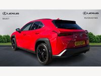 Used Lexus UX 250h 2022 Red SUV
