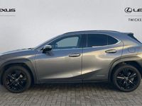 Used Lexus UX 250h 184 HP (135 kW) 2024 SUV