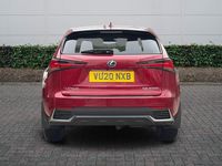 Used Lexus NX300h 2020 Red SUV