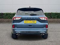 Used Ford Kuga ST-Line 150 HP (110 kW) 2023 Blue SUV