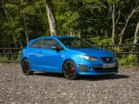 Gebraucht Seat Ibiza CUPRA 180 PS (132 kW) 2010 Blau Kleinwagen