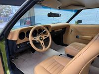 Used Ford Ranchero 1973 Green/green