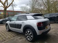 Used Citroën C4 Cactus Flair 110 HP (80 kW) 2016 Silver Hatchback
