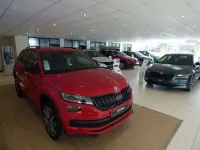 Used Skoda Kamiq SE 150 HP (110 kW) 2021 Blue SUV