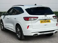 Used Ford Kuga ST-Line 150 HP (110 kW) 2020 White SUV