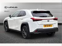 Used Lexus UX 250h 184 HP (135 kW) 2021 White SUV