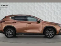 Used Lexus NX450h+ 304 HP (223 kW) 2024 Bronze SUV