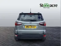 Used Ford Ecosport Active 123 HP (90 kW) 2023 Silver SUV