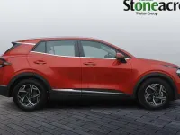 Used Kia Sportage 159 HP (116 kW) 2024 SUV