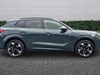 Used Cupra Terramar 2025 Blue SUV