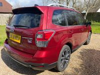 Used Subaru Forester 2018 Red SUV