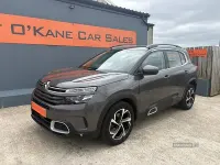 Used Citroën C5 Feel 2019 Grey Hatchback