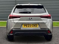 Used Lexus UX 250h Sport Design Packet 184 HP (135 kW) 2024 SUV