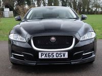 used Jaguar XJ Series 3.0d V6 Portfolio 4dr Auto [8]