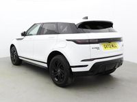 Used Land Rover Range Rover evoque R-Dynamic 309 HP (227 kW) 2023 White SUV