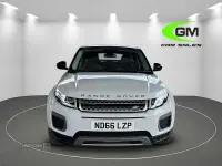 Used Land Rover Range Rover evoque SE 150 HP (110 kW) 2017 White Estate