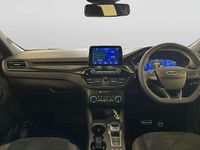 Used Ford Kuga ST-Line X 225 HP (165 kW) 2023 Black SUV