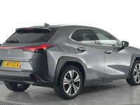 Used Lexus UX 150 kW (204 HP) 2021 Grey SUV